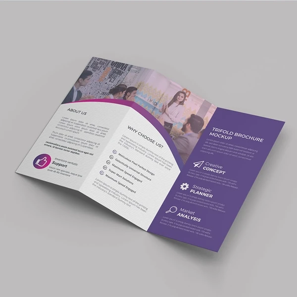 Custom Brochures