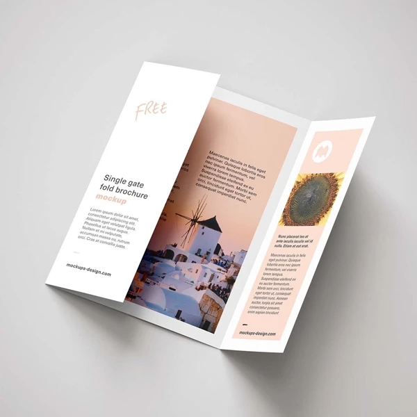 Custom Brochures