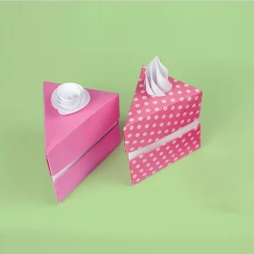 product Cake Slice Boxes