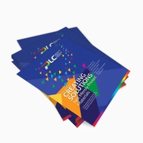 Custom Flyers