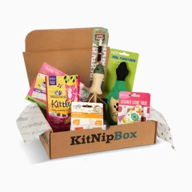 product Monthly Subscription Boxes